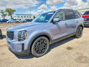 2021 Kia Telluride 5XYP5DHC3MG163490
