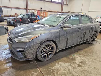 2019 Kia Forte 3KPF54AD1KE097868 Lot 49551656