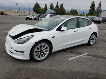 2023 Tesla Model 3 5YJ3E1EA3PF487552 Lot 84218955