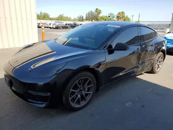 2019 Tesla Model 3 5YJ3E1EBXKF384243 Lot 59344276