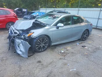 2019 Toyota Camry 4T1B11HK2KU800968 Lot 59653146