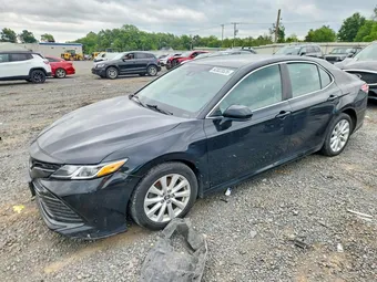 2019 Toyota Camry 4T1B11HK2KU742490