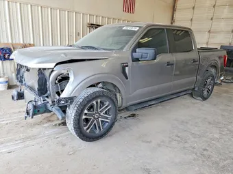 2021 Ford F-150 1FTEW1CP1MKD48127 Lot 58249676