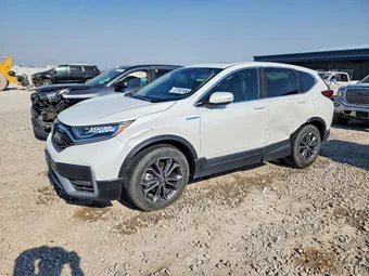 2020 Honda CR-V 7FART6H86LE017407 Lot 57882466