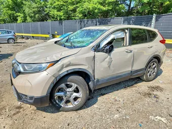 2019 Honda CR-V 2HKRW2H87KH618465 Lot 61156266