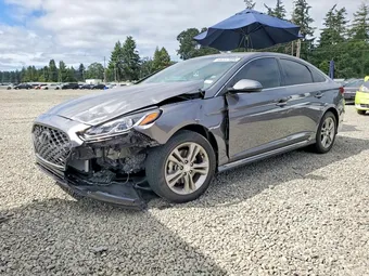 2019 Hyundai Sonata 5NPE34AF1KH812923 Lot 59337896