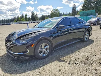 2023 Hyundai Sonata KMHL24JA4PA260181 Lot 53296066