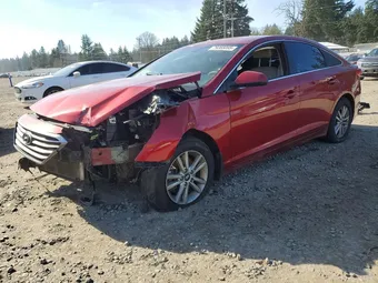 2015 Hyundai Sonata 5NPE24AF1FH099711 Lot 79365095