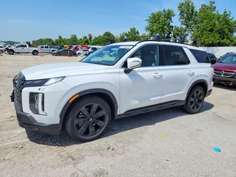 2025 Hyundai Palisade KM8R34GE2SU890869