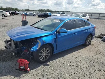 2019 Hyundai Sonata 5NPE24AF7KH770566 Lot 58662306