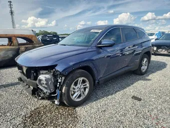 2025 Hyundai Tucson 5NMJA3DE3SH569338 Lot 54431506