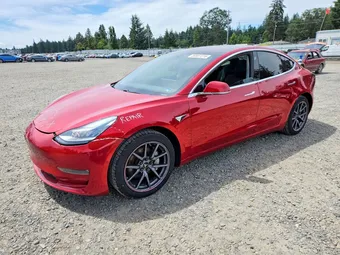 2019 Tesla Model 3 5YJ3E1EB2KF199247 Lot 59587316