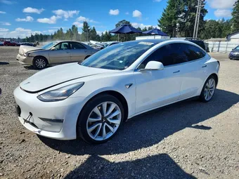 2019 Tesla Model 3 5YJ3E1EB4KF454223 Lot 62336846