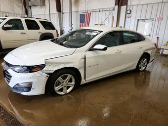 2024 Chevrolet Malibu 1G1ZB5ST3RF150287