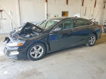 2019 Chevrolet Malibu 1G1ZB5ST8KF101284 Lot 74514465
