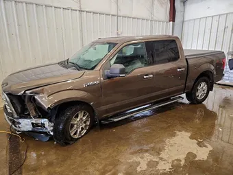 2016 Ford F-150 1FTEW1EF9GKD50622 Lot 53376986