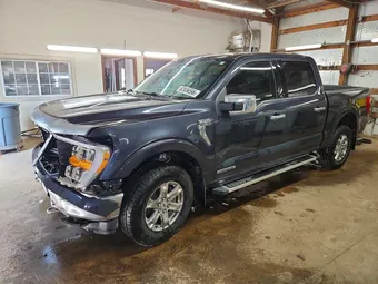 2022 Ford F-150 1FTFW1ED2NFA02489 Lot 52836596