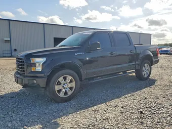 2017 Ford F-150 1FTEW1EF8HFA31562 Lot 61710786