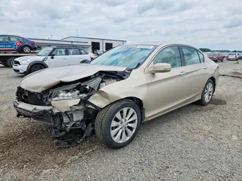 2015 Honda Accord 1HGCR3F83FA019096 Lot 58708456