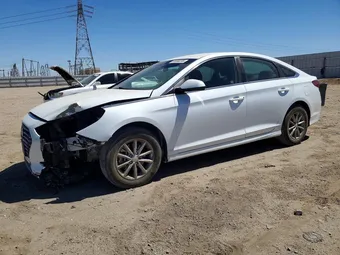 2019 Hyundai Sonata 5NPE24AF0KH810390 Lot 54496236