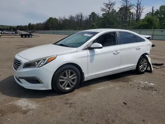 2015 Hyundai Sonata 5NPE24AF6FH236738 Lot 61563836
