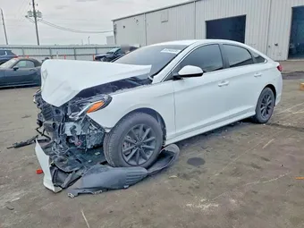 2019 Hyundai Sonata 5NPE24AFXKH777429 Lot 52343226