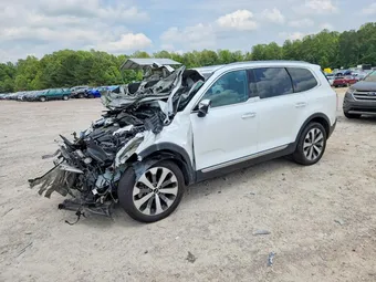2020 Kia Telluride 5XYP6DHC9LG044290