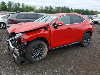 2024 Lexus NX 250 2T2ADCAZ9RC012220 Lot 52691886