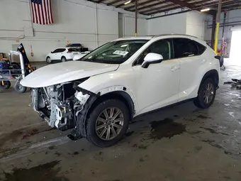 2019 Lexus NX JTJYARBZ4K2129721