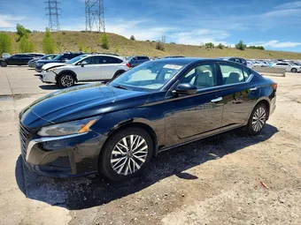 2023 Nissan Altima 1N4BL4DV1PN336899 Lot 57557566