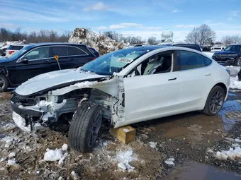 2020 Tesla Model 3 5YJ3E1EA0LF785065