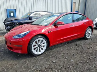 2023 Tesla Model 3 5YJ3E1EA5PF451782 Lot 52433666