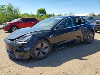 2020 Tesla Model 3 5YJ3E1EB0LF599485 Lot 55647786