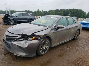 2019 Toyota Camry 4T1B11HK4KU252651 Lot 57564946