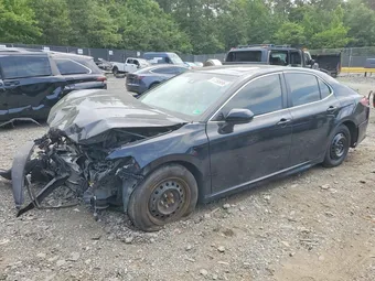 2019 Toyota Camry 4T1B11HK1KU826915 Lot 61595696