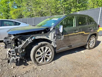 2019 Toyota RAV4 JTMN1RFV3KD507223 Lot 50454136