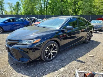 2019 Toyota Camry 4T1B11HK8KU771878 Lot 50764656