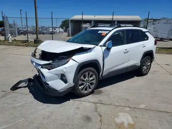 2019 Toyota RAV4 JTMA1RFV2KJ020398 Lot 59913616