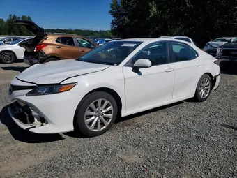 2019 Toyota Camry 4T1B11HK0KU234969 Lot 55648876