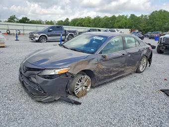 2019 Toyota Camry 4T1B21HK9KU516279 Lot 48287256