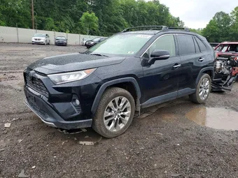2019 Toyota RAV4 JTMN1RFVXKD501449 Lot 57829356