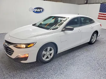 2020 Chevrolet Malibu 1G1ZB5ST1LF026428 Lot 60743106