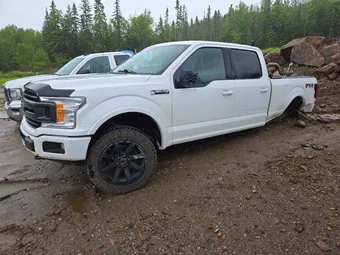 2019 Ford F-150 1FTFW1E48KKE54014 Lot 57384146