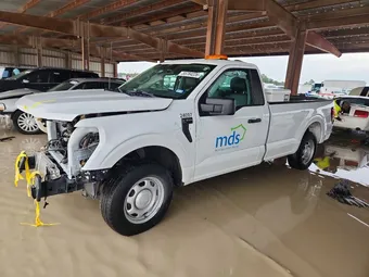 2024 Ford F-150 1FTMF1KP2RKD17036 Lot 55784226