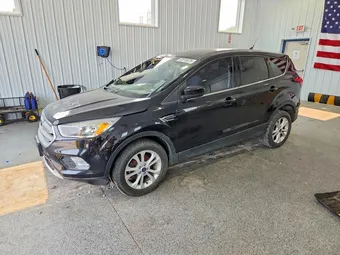 2019 Ford Escape 1FMCU0GD4KUB72808 Lot 62516076