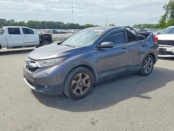 2019 Honda CR-V 2HKRW1H82KH514881 Lot 62113426