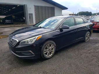 2016 Hyundai Sonata 5NPE24AF1GH294922
