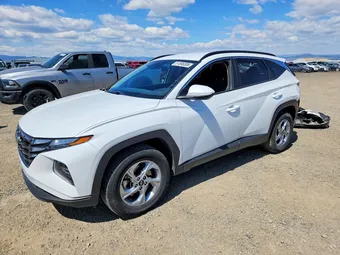2024 Hyundai Tucson 5NMJBCDEXRH325497