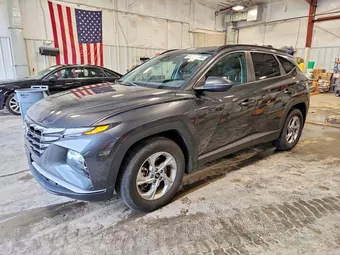 2023 Hyundai Tucson 5NMJB3AE3PH273180 Lot 58032406