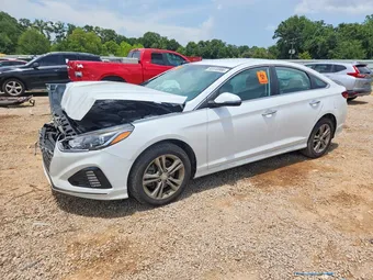 2019 Hyundai Sonata 5NPE34AF8KH782075 Lot 60449986